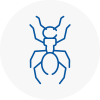 Ant Removals In Chorleywood