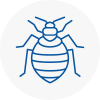 Bed Bug Extermination In Chorleywood