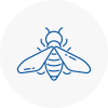 Bee Nest Removal Chorleywood