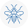Chorleywood Hornet Nest Removals
