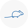 Mice Exterminators In Chorleywood