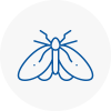 Moth Control Specialists In Chorleywood