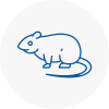 Rat Control Chorleywood