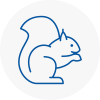 Chorleywood Rodent Removals